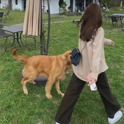 教室的那一间第二季